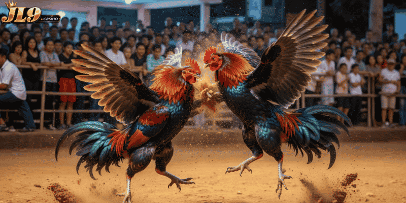 7 Sabong Handicap Tips for Bigger Winning Returns